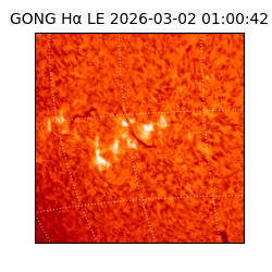 gong - 2026-03-02T01:00:42