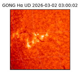 gong - 2026-03-02T03:00:02