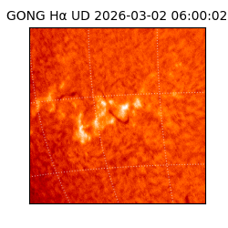 gong - 2026-03-02T06:00:02