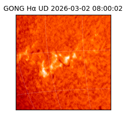 gong - 2026-03-02T08:00:02