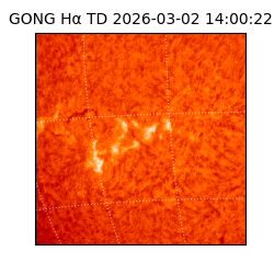 gong - 2026-03-02T14:00:22