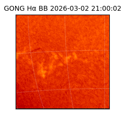 gong - 2026-03-02T21:00:02