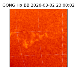 gong - 2026-03-02T23:00:02