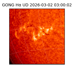 gong - 2026-03-02T03:00:02