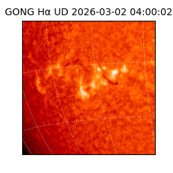 gong - 2026-03-02T04:00:02