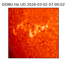 gong - 2026-03-02T07:00:02