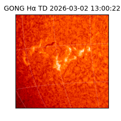 gong - 2026-03-02T13:00:22