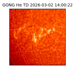 gong - 2026-03-02T14:00:22