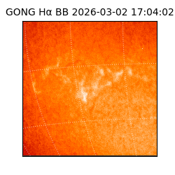 gong - 2026-03-02T17:04:02