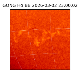 gong - 2026-03-02T23:00:02