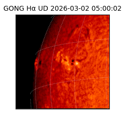 gong - 2026-03-02T05:00:02
