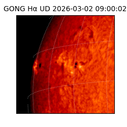 gong - 2026-03-02T09:00:02