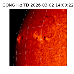 gong - 2026-03-02T14:00:22