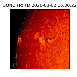 gong - 2026-03-02T15:00:22