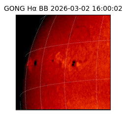 gong - 2026-03-02T16:00:02