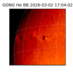 gong - 2026-03-02T17:04:02