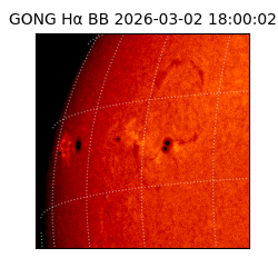 gong - 2026-03-02T18:00:02