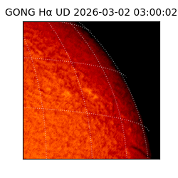 gong - 2026-03-02T03:00:02
