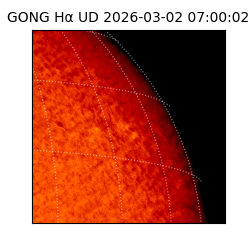gong - 2026-03-02T07:00:02