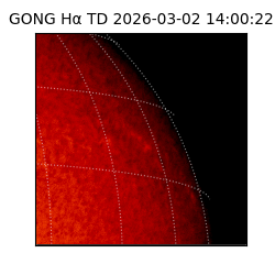 gong - 2026-03-02T14:00:22