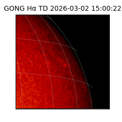 gong - 2026-03-02T15:00:22