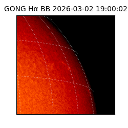 gong - 2026-03-02T19:00:02
