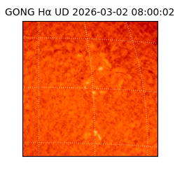 gong - 2026-03-02T08:00:02