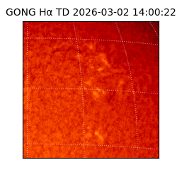 gong - 2026-03-02T14:00:22
