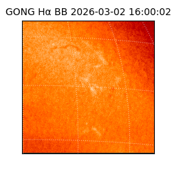 gong - 2026-03-02T16:00:02