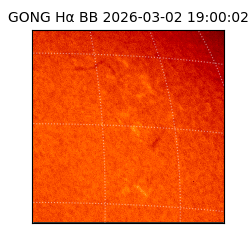 gong - 2026-03-02T19:00:02