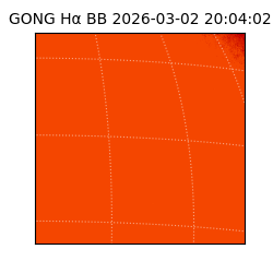 gong - 2026-03-02T20:04:02