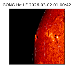 gong - 2026-03-02T01:00:42