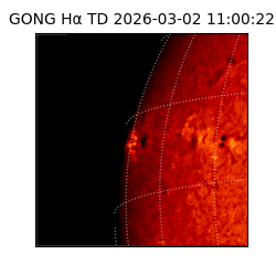 gong - 2026-03-02T11:00:22