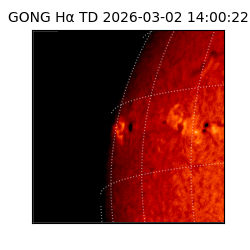 gong - 2026-03-02T14:00:22