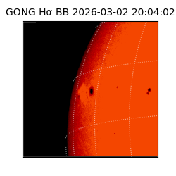 gong - 2026-03-02T20:04:02