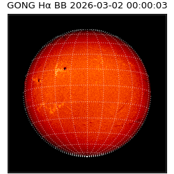gong - 2026-03-02T00:00:03