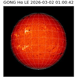 gong - 2026-03-02T01:00:42