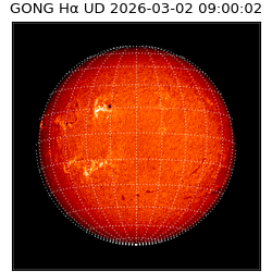 gong - 2026-03-02T09:00:02