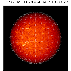 gong - 2026-03-02T13:00:22