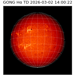gong - 2026-03-02T14:00:22