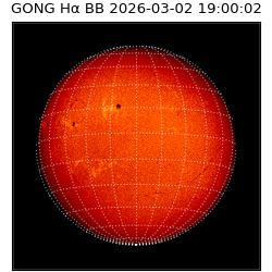 gong - 2026-03-02T19:00:02