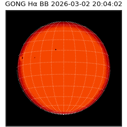 gong - 2026-03-02T20:04:02
