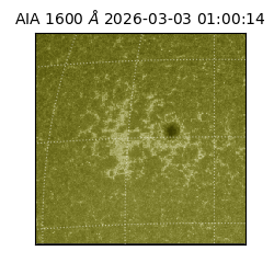 saia - 2026-03-03T01:00:14.133000