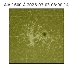 saia - 2026-03-03T08:00:14.131000