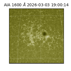 saia - 2026-03-03T19:00:14.129000