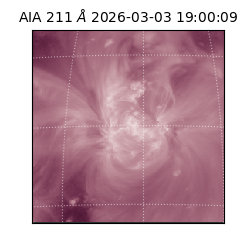 saia - 2026-03-03T19:00:09.626000