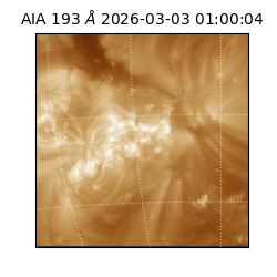 saia - 2026-03-03T01:00:04.846000