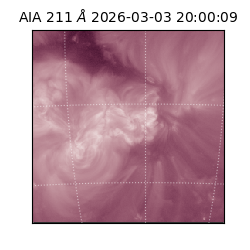 saia - 2026-03-03T20:00:09.618000