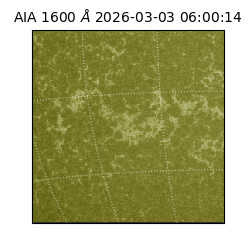 saia - 2026-03-03T06:00:14.125000