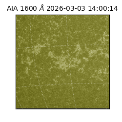 saia - 2026-03-03T14:00:14.125000